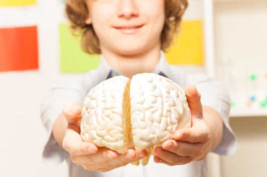 Happy Belly, Happy Child: Understanding the Gut-Brain Connection