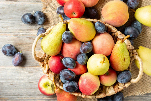 Struggling with Constipation? A Pediatric Dietitian’s Guide for Parents