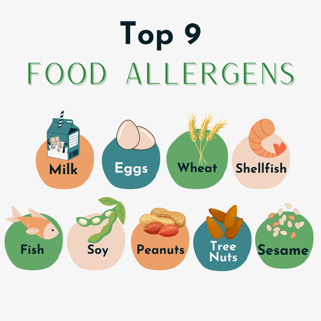 Allergen Introduction: A Guide to Safely Introducing Common Allergens ...